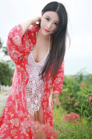 潜伏在黎明之前 电视剧