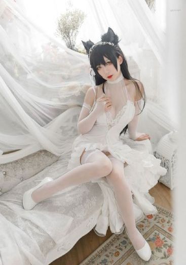 小姐完整版在线播放